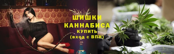 ешки Аркадак