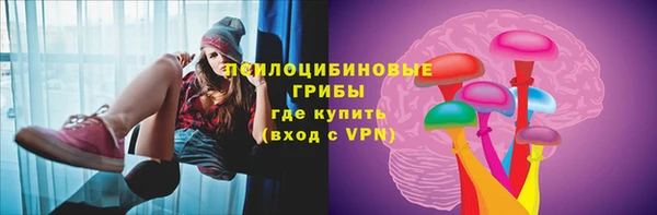 прущий лед Арсеньев