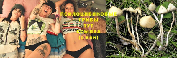 прущий лед Арсеньев