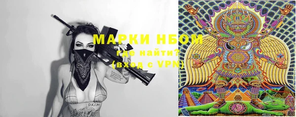 ешки Аркадак
