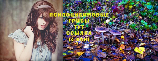 винт Армянск